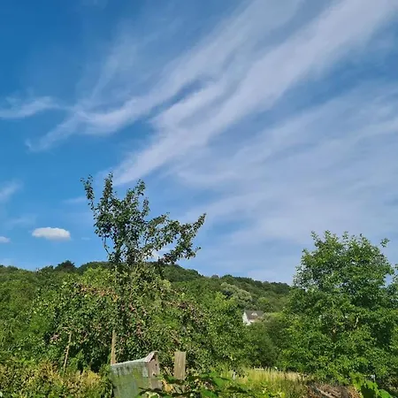 Zum Stuxblick ウンケル