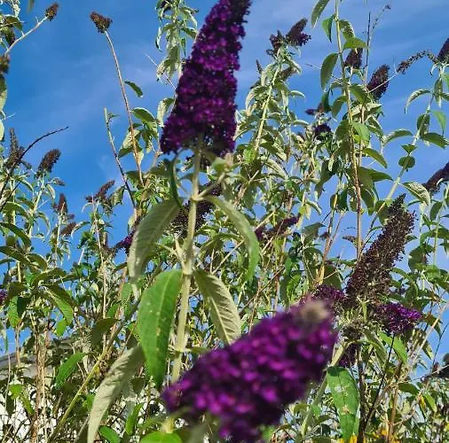 Zum Stuxblick Accommodatie bij particulieren